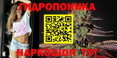 амф Ачхой-Мартан