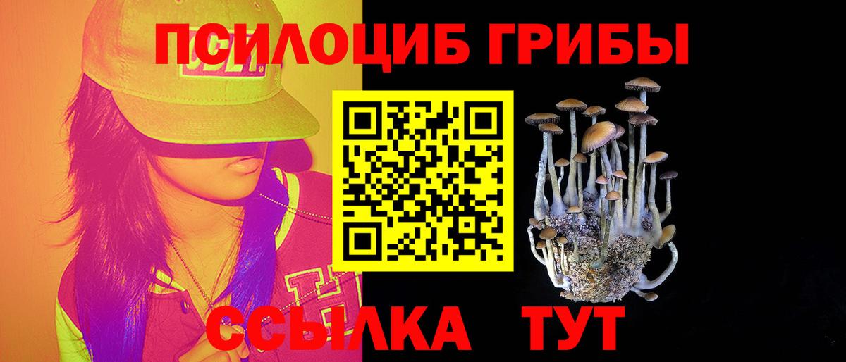 Горно-Алтайск  Галлюциногенные грибы Magic Shrooms  Вход с VPN 